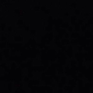 Meet your Posher, Sophie